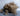 Pile of Eiderdown natural fill material - Northern Feather Canada eStore