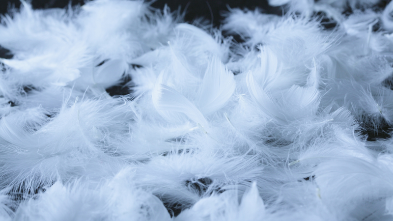 feather vs synthetic pillow​