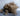 Pile of Eiderdown natural fill material - Northern Feather Canada eStore