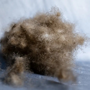 Eiderdown Duvet