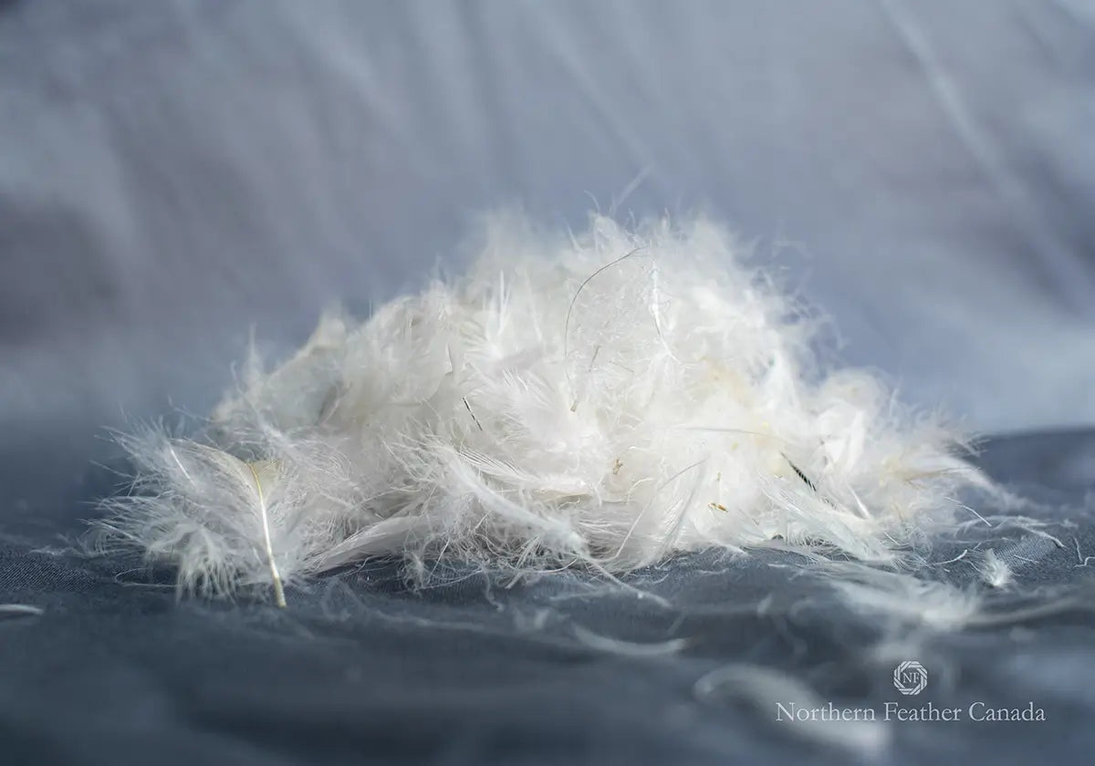 Pile of 20% Down 80% Feather Fill | Northern Feather Canada