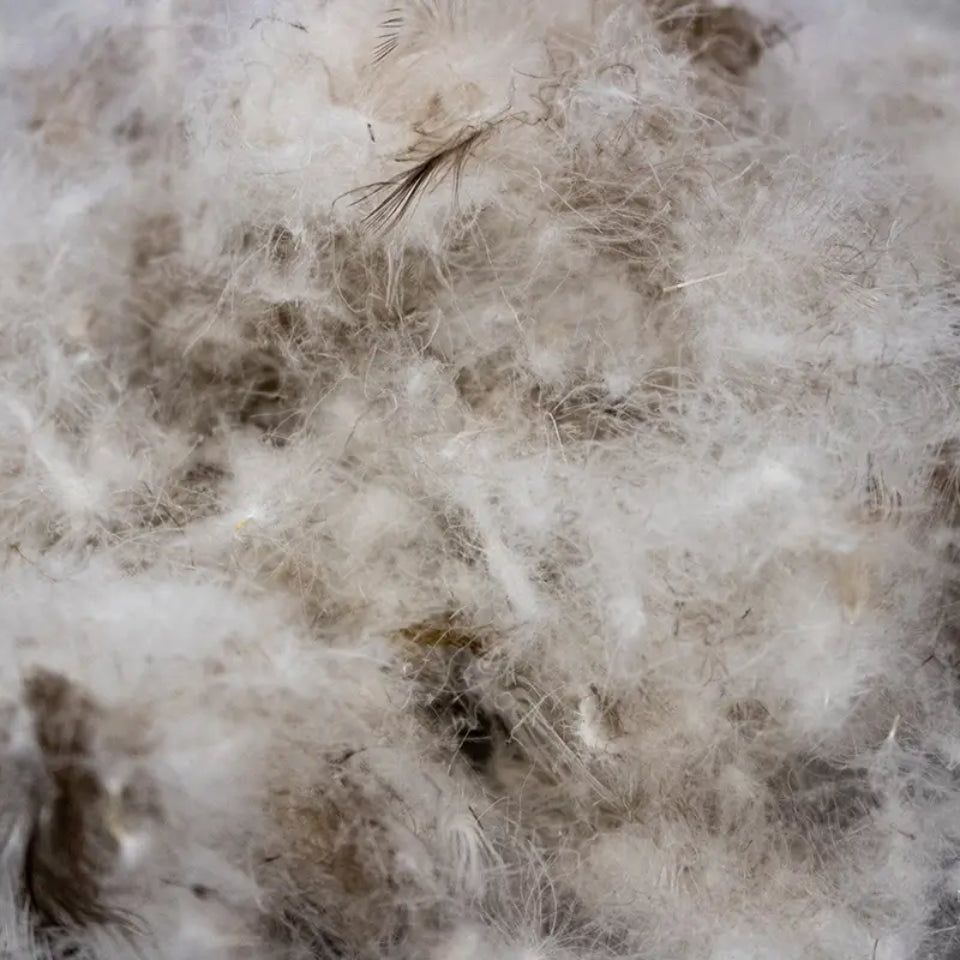 Siberian Moscovy Down Duvet