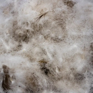 Siberian Moscovy Down Duvet