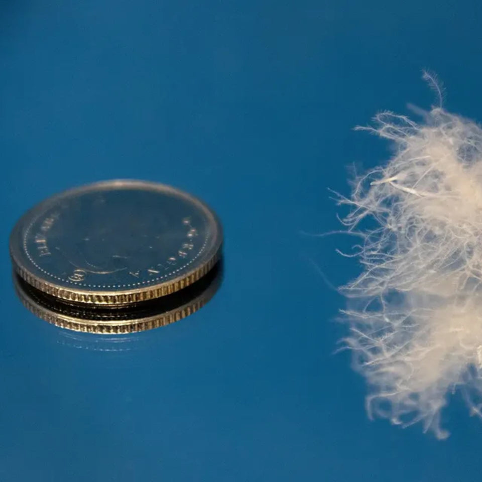 Sublimis Euro Down Duvet