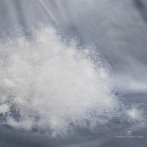 Siberian Snow Goose Down Duvet