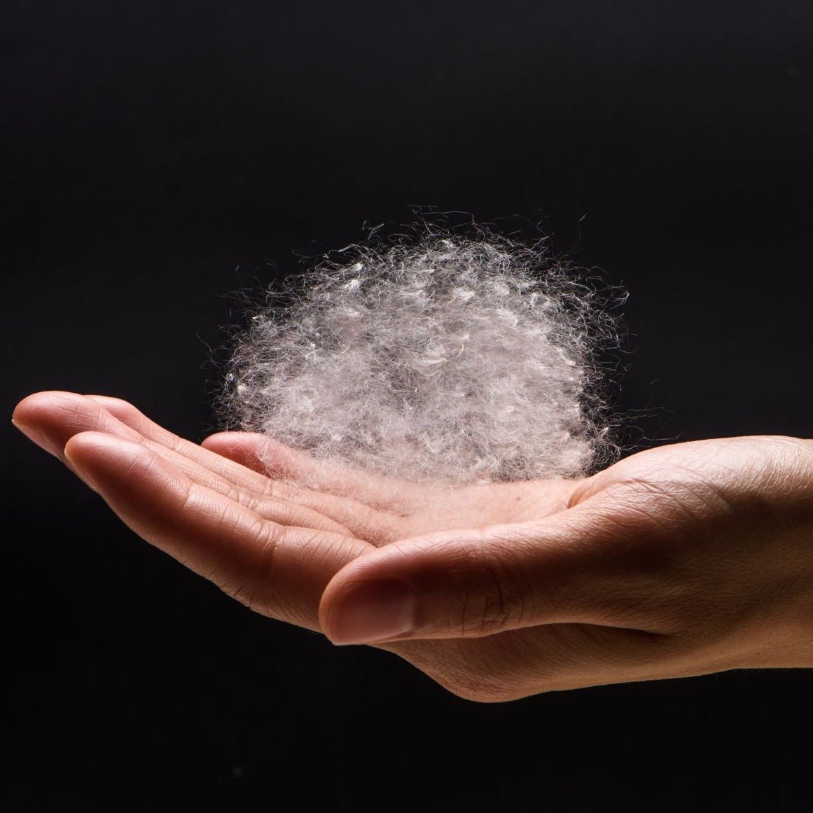 Kapok Tree Natural Fibre | Northern Feather Canada